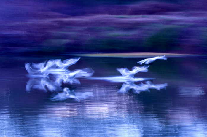 ぬのしり会長賞